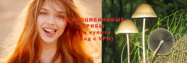 мдпв Протвино