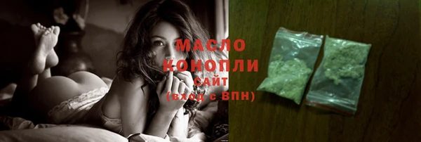 мдпв Протвино