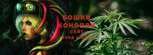 мдпв Приозерск