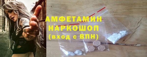 мдпв Протвино