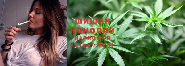 мдпв Протвино